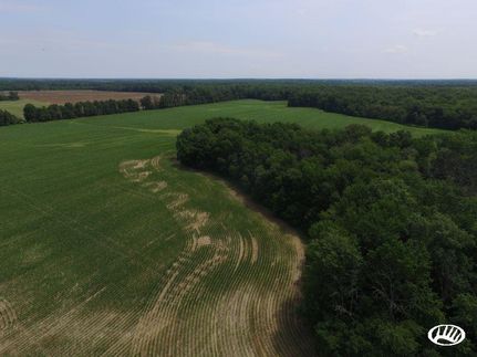 Farm and Ranch in Franklin County, Illinois