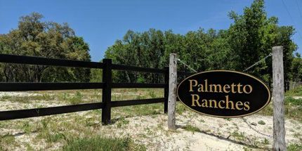 Timberland Property in Taylor County, Florida