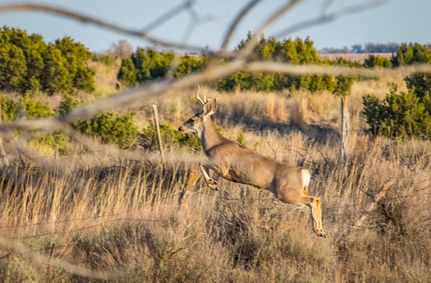 Commercial Property in Donley County, Texas