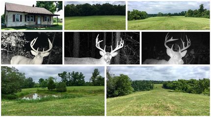 Undeveloped Land in Edmonson County, Kentucky