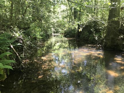 Recreational Property in Pickens County, South Carolina