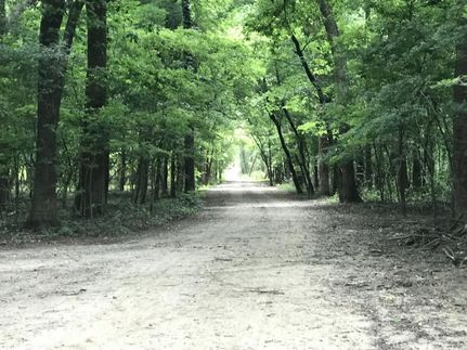 Undeveloped Land in Prairie County, Arkansas