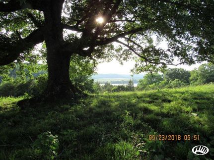 Farm and Ranch in Cocke County, Tennessee