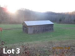 Timberland Property in Lewis County, Kentucky
