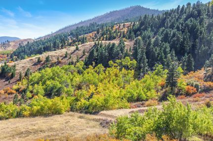 Recreational Property in Sheridan County, Wyoming