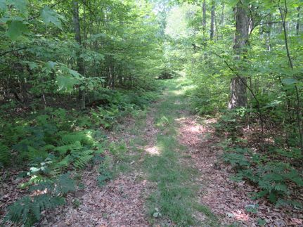Timberland Property in Clinton County, Pennsylvania