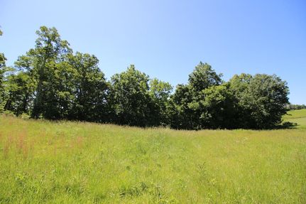 Timberland Property in Scioto County, Ohio