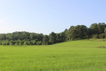 Farm and Ranch in Dallas County, Alabama