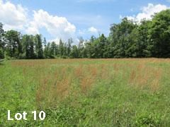 Undeveloped Land in Fleming County, Kentucky