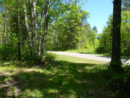 Timberland Property in Vilas County, Wisconsin