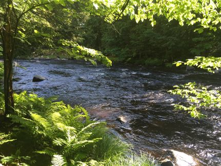 Riverfront Property in Saint Lawrence County, New York