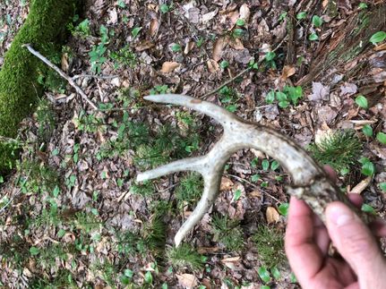 Commercial Property in Oneida County, New York