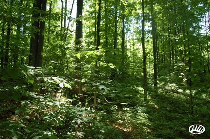 Farm and Ranch in Wexford County, Michigan