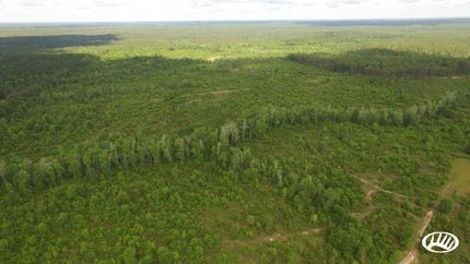 Farm and Ranch in Escambia County, Alabama