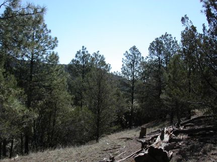Recreational Property in Catron County, New Mexico