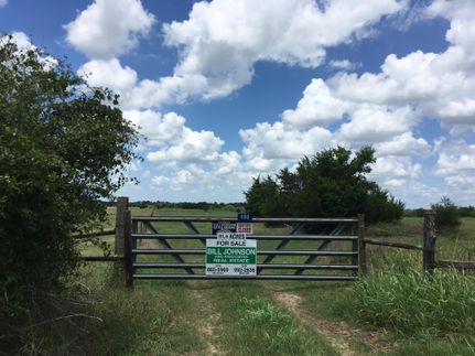 Undeveloped Land in Austin County, Texas