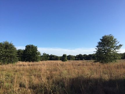 Farm and Ranch in Henderson County, Texas