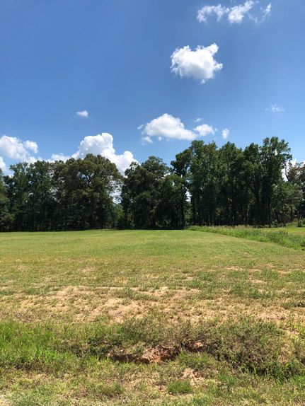 Riverfront Property in Ouachita Parish, Louisiana