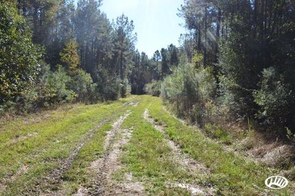 Farm and Ranch in East Baton Rouge Parish, Louisiana