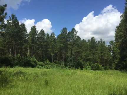 Recreational Property in Pike County, Alabama