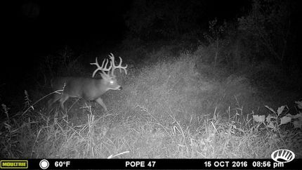 Farm and Ranch in Pope County, Illinois