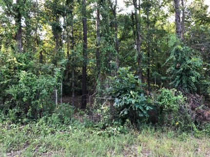 Recreational Property in Harrison County, Texas