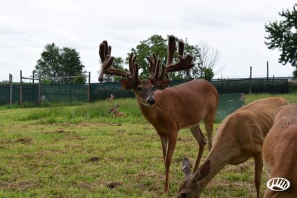 House in Kankakee County, Illinois