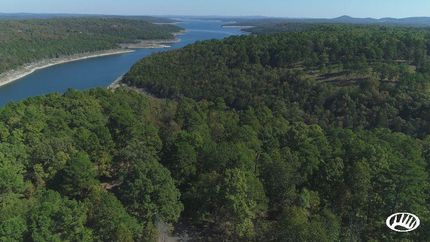Timberland Property in Marion County, Arkansas