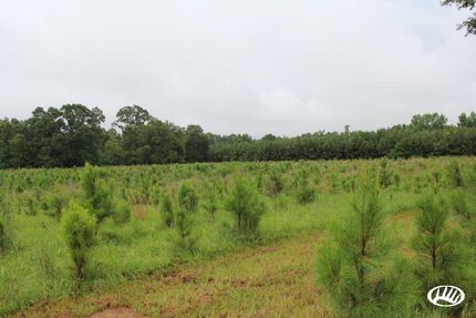 Land in Marion County, Mississippi