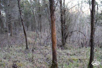 Land in Adams County, Ohio