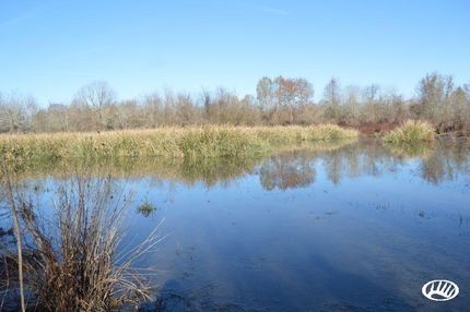 Land in Franklin Parish, Louisiana