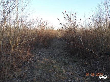 Land in Wayne County, Ohio