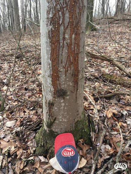 Land in Muskingum County, Ohio