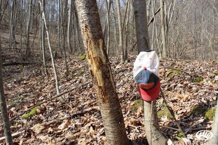 Farm and Ranch in Adams County, Ohio