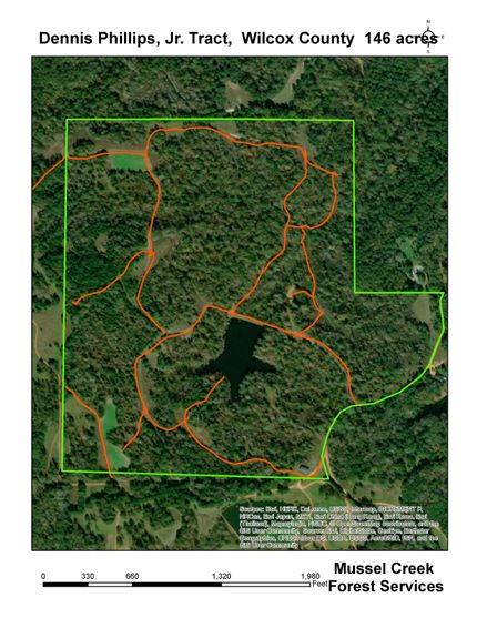 Farm and Ranch in Wilcox County, Alabama