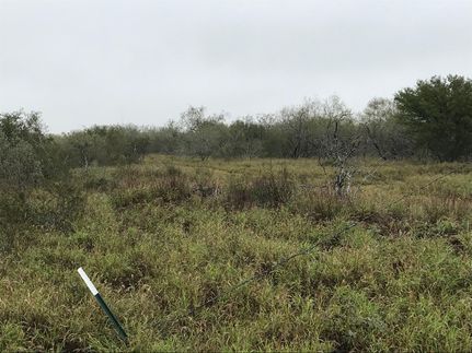 Recreational Property in Starr County, Texas