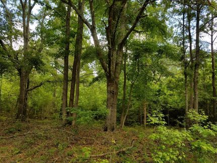Land in Bullock County, Alabama