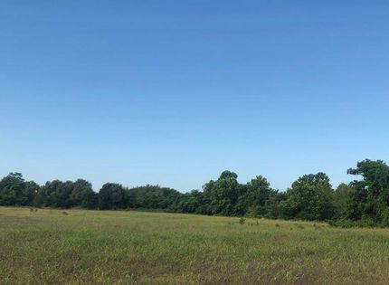 Undeveloped Land in Lamar County, Texas