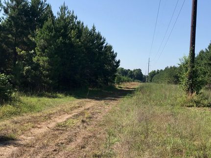 Land in Allendale County, South Carolina