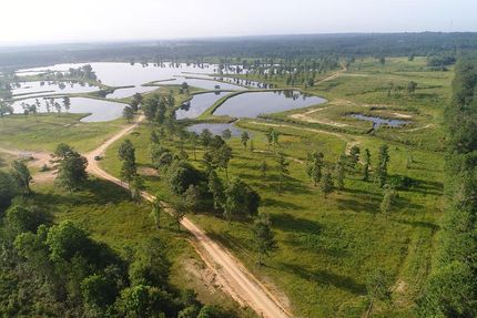 Waterfront Property in Jones County, Mississippi