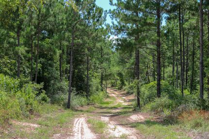 Farm and Ranch in Grimes County, Texas