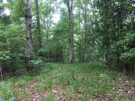 Recreational Property in Bullock County, Alabama