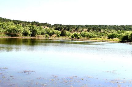 Recreational Property in Stephens County, Texas
