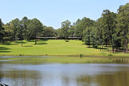 Timberland Property in Newton County, Texas