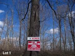 Timberland Property in Monroe County, Ohio