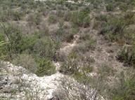 Farm and Ranch in Terrell County, Texas