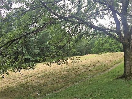 Land in Owen County, Kentucky