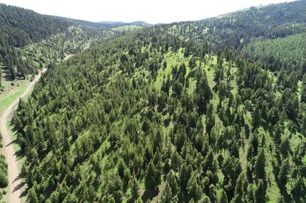 Recreational Property in Granite County, Montana