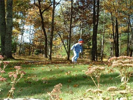 Undeveloped Land in Burnett County, Wisconsin