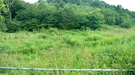 Timberland Property in Coffee County, Tennessee